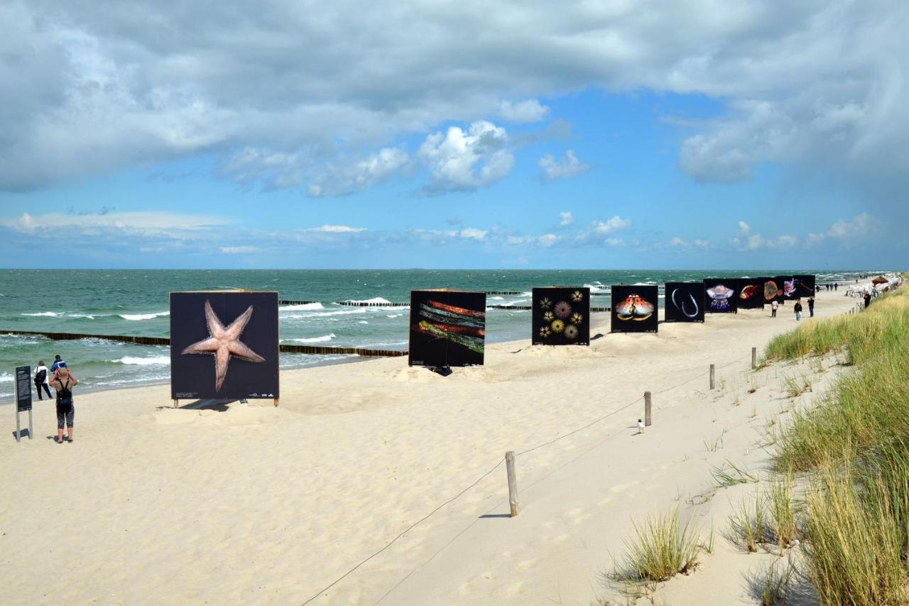 Seestr_54 Nr_304 Zingst Exterior foto